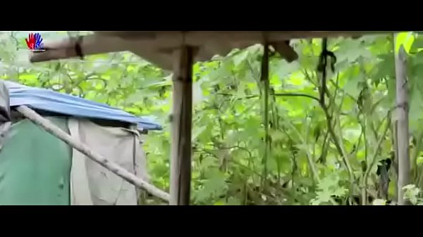 HotM.i.s.t.a.k.e.3.B.o.l.d.H.i.n.d.i