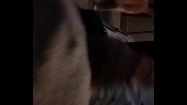 Sega con i calzini della migliore amica