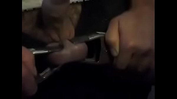 Kastration, Elastrator, der meine Eier bandagiert