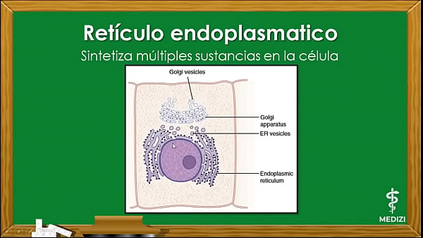 Cellular Physiology - The Cell, parts and functions