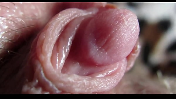 big clit orgasm closeup