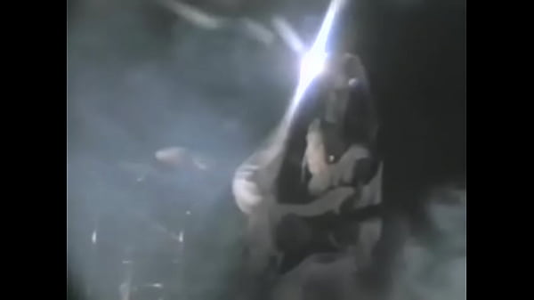 White rat-the legend of the fairy and the wizard