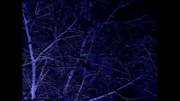 A Stairway To The Stars (The Caretaker)