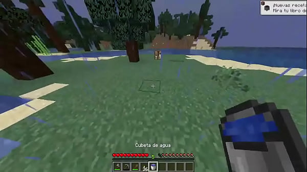 How to Survive the First Night in Minecraft