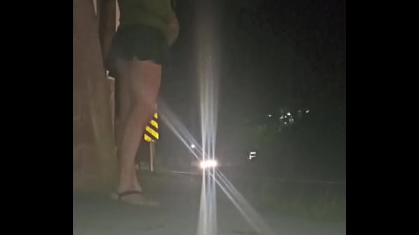 Zorrita goes out for a walk, to show off and see if they catch her as a whore