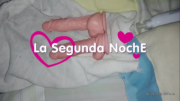 pleasure in the night