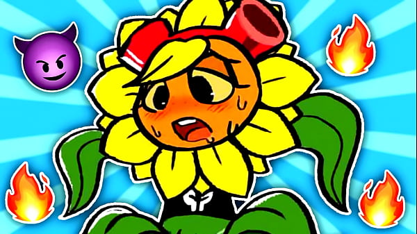 The Best of Solar Flash!